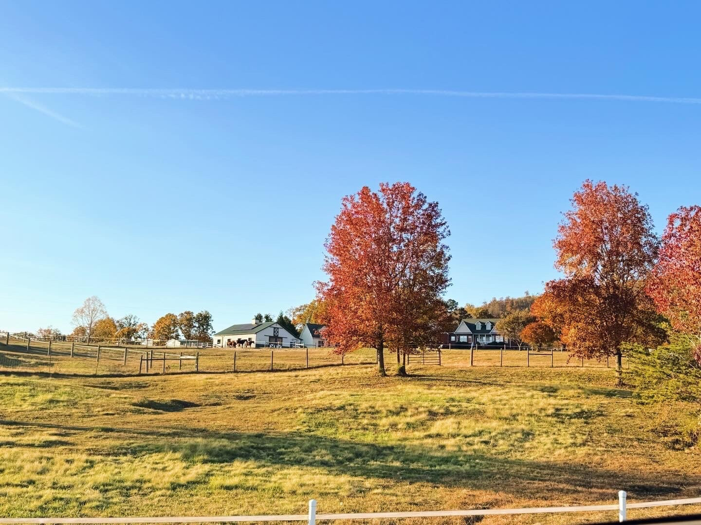 I’ll be home for Christmas 🏡🎄❤️ God writes the very best (!!) stories 🐴🙌🏽🚜 and I’m so excited to finally get to share 🤭 that the Lord has led our family to our “farm sweet farm” 🐓🤠🐮 (the “horse house” 🐎 as Judson has called it since the first day we saw it! 🤩) and we can’t wait to plant our roots 🌱 and raise our sweet little country babies 🤱🩵👶🏼 out on these acres upon acres of rolling hills farmland in beautiful Bostic, North Carolina!! ⛰️🌾 He is a God of the immeasurably MORE than we could ever ask, dream 💭, or imagine… and our whole “farm story” is such a testament to that!! 🥹✨ We have been bursting with excitement since the Lord opened the door 🚪 a couple of months ago to this incredible opportunity 🙏🏽 and I can’t believe it’s finally “officially official” ✍🏼 - and we will be “home for Christmas” 🎅🏻🛷 - the v
ery best Christmas miracle 🌟 and gift 🎁 ever!!! 😭🏠

“I’ve had a splendid time. But the best of it all was the 
coming home.” - Anne of Green Gables 🏡🕯️🎄