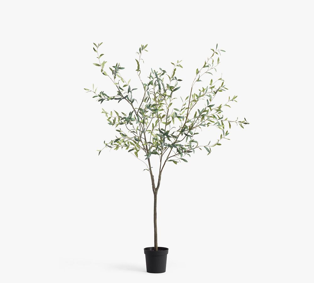 Faux Olive Trees | Pottery Barn (US)