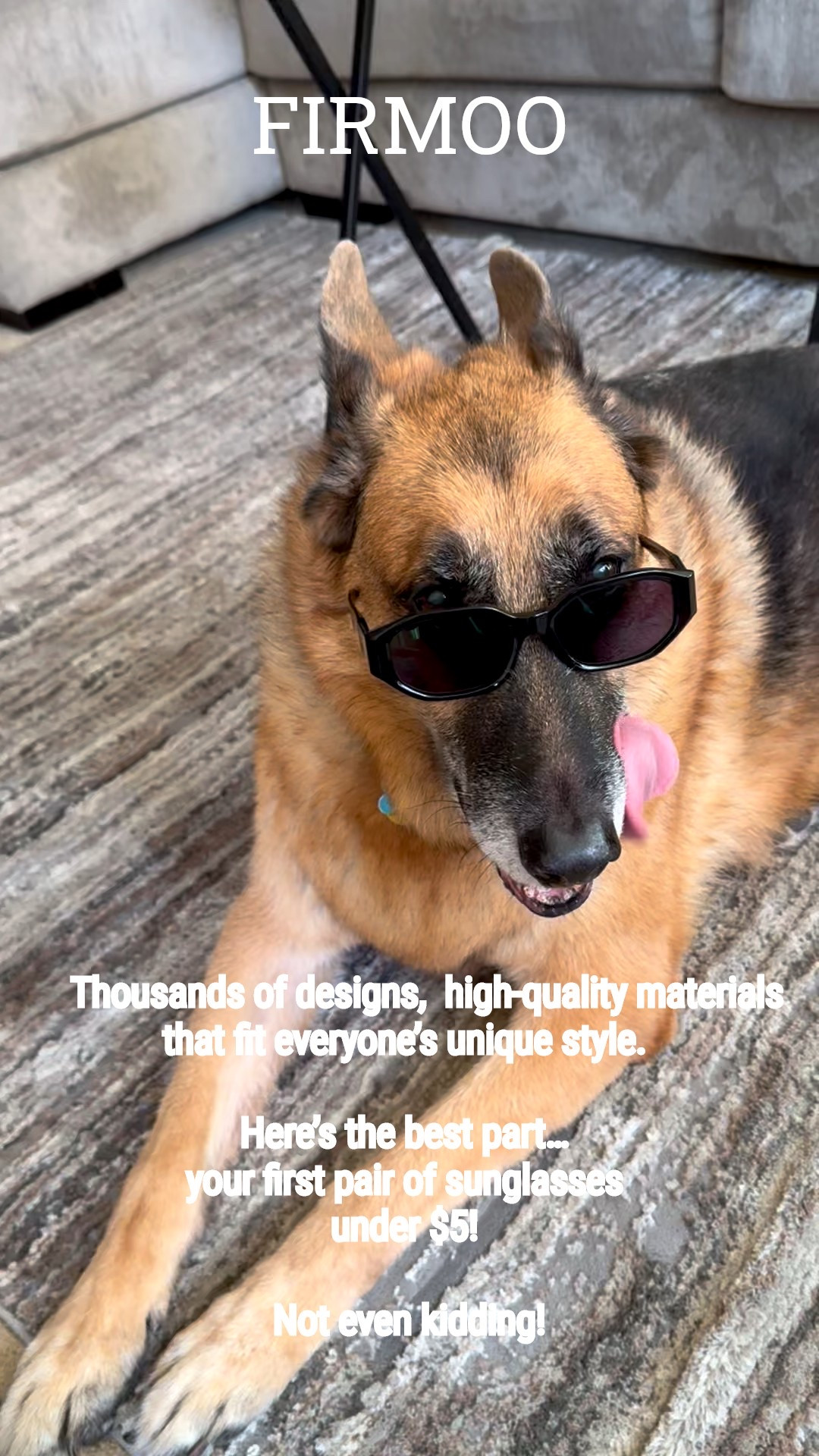 Get ready for spring and summer outdoor adventures by upgrading to prescription sunglasses, a pair for you and a pair for your dog! FIRMOO has thousands of designs and high-quality materials that fit everyone’s unique style. Here’s the best part… get your first pair of sunglasses and pay under $5! Not even kidding! 

These glasses are style #S90304 on FIRMOO, link to FIRMOO’s full site is in my LinkTeee under my TikTok bio. Don’t miss this outrageously good deal! 

#LTKSaleAlert #LTKActive #LTKNYFW