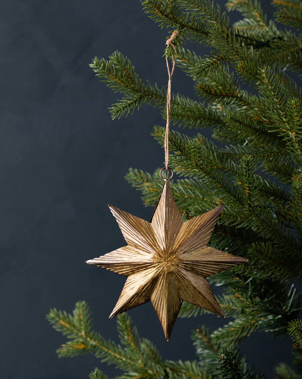 Embossed Star Ornament | McGee & Co.