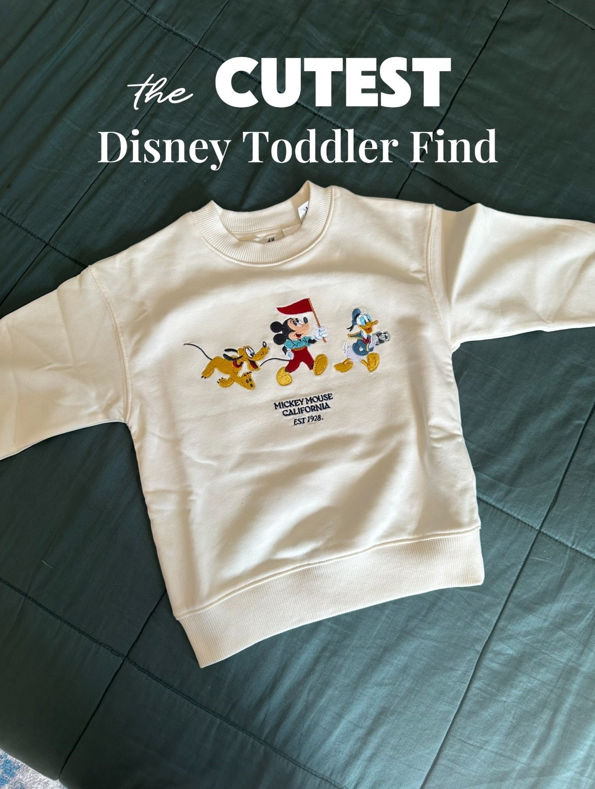 Literally could not pass this one up 🤩 this thin sweater is perfect for the CA cold and the embroidery is 🤌🏽🤌🏽🤌🏽. I do find that H&M tends to run a little big 🐭

#LTKBaby #LTKKids #LTKFamily