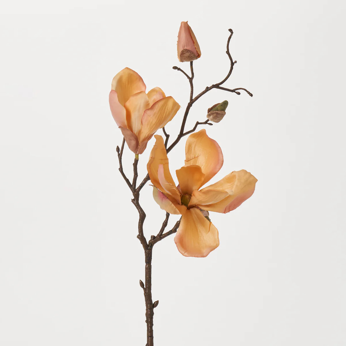 Golden Hour Magnolia Blossom & Bud Multiple Blooming Branch Stem Spray - 19" | Darby Creek Trading