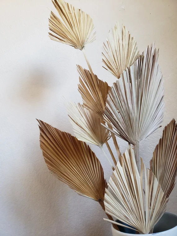 Fan Palms - Trimmed Bouquet | palm | dried flora | sun dried | natural | dried palm| | Etsy (US)