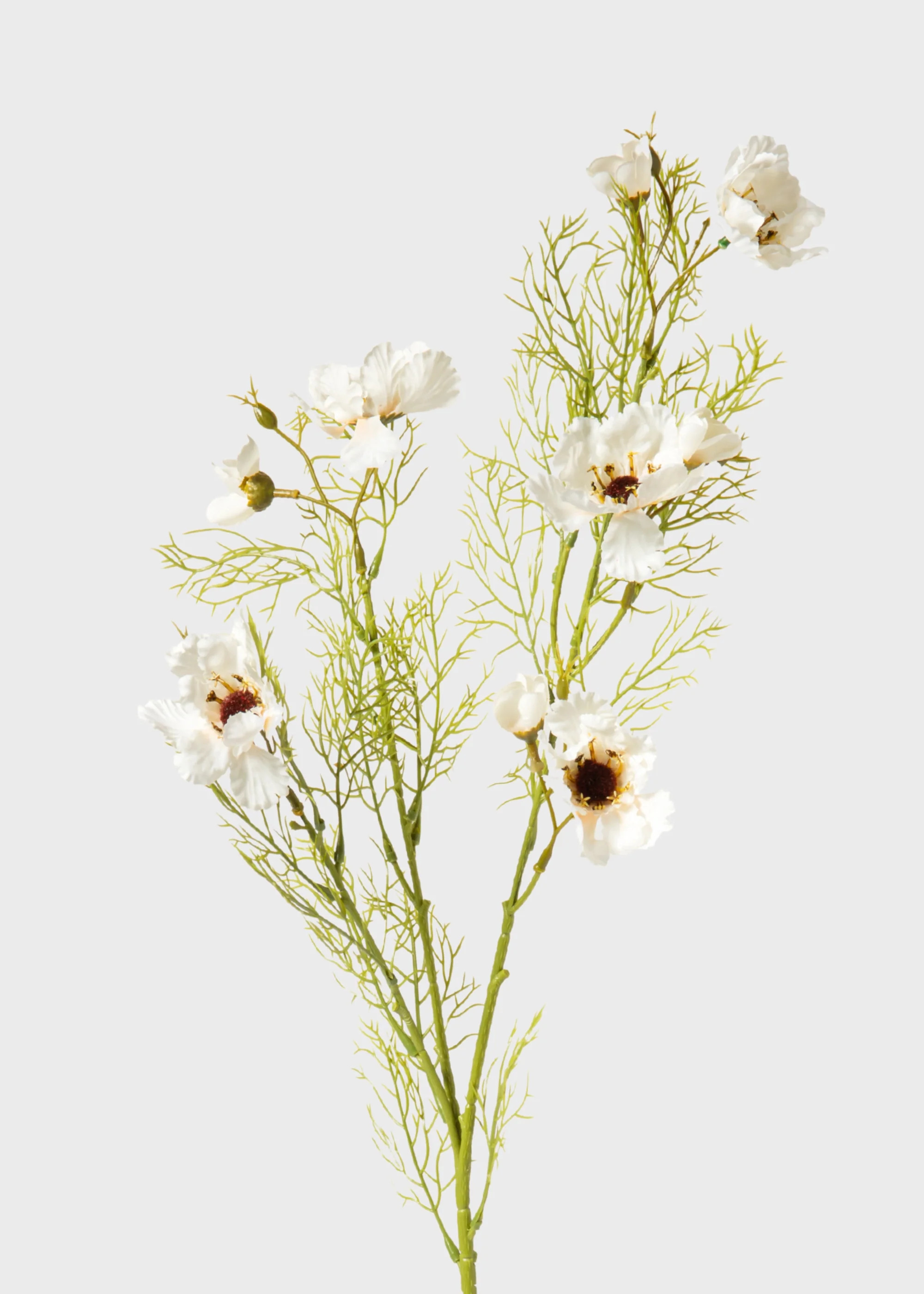 Abigail Ahern Artificial Cosmos Flower Branch in Cream - 32.25 | Afloral