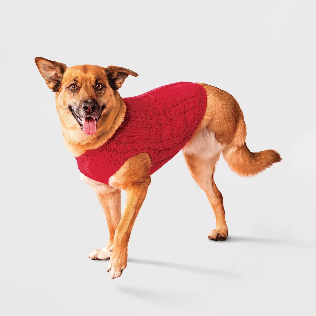 Cableknit Pet Sweater - Boots & Barkley™ | Target