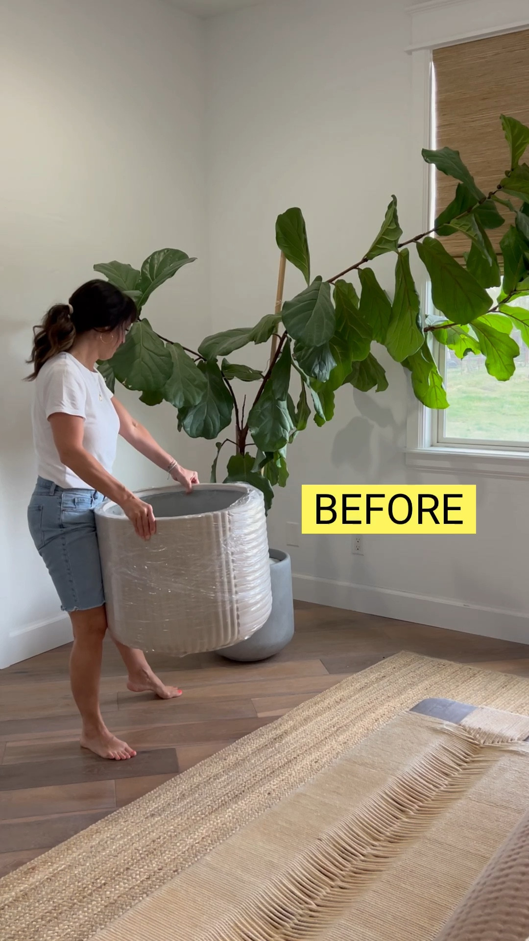 NEW Pot who is this !? This plant has grown so much that the limbs were hanging down and looking heavy so it was time to get a bigger pot and anchor them.  We used a couple of 8 foot 2 inch cedar posts and approximately a 3 gallon inner black bucket pot to make it stronger.  Shop my pot in a size large LINKED BELOW 



#LTKfamily #LTKFind #LTKhome
