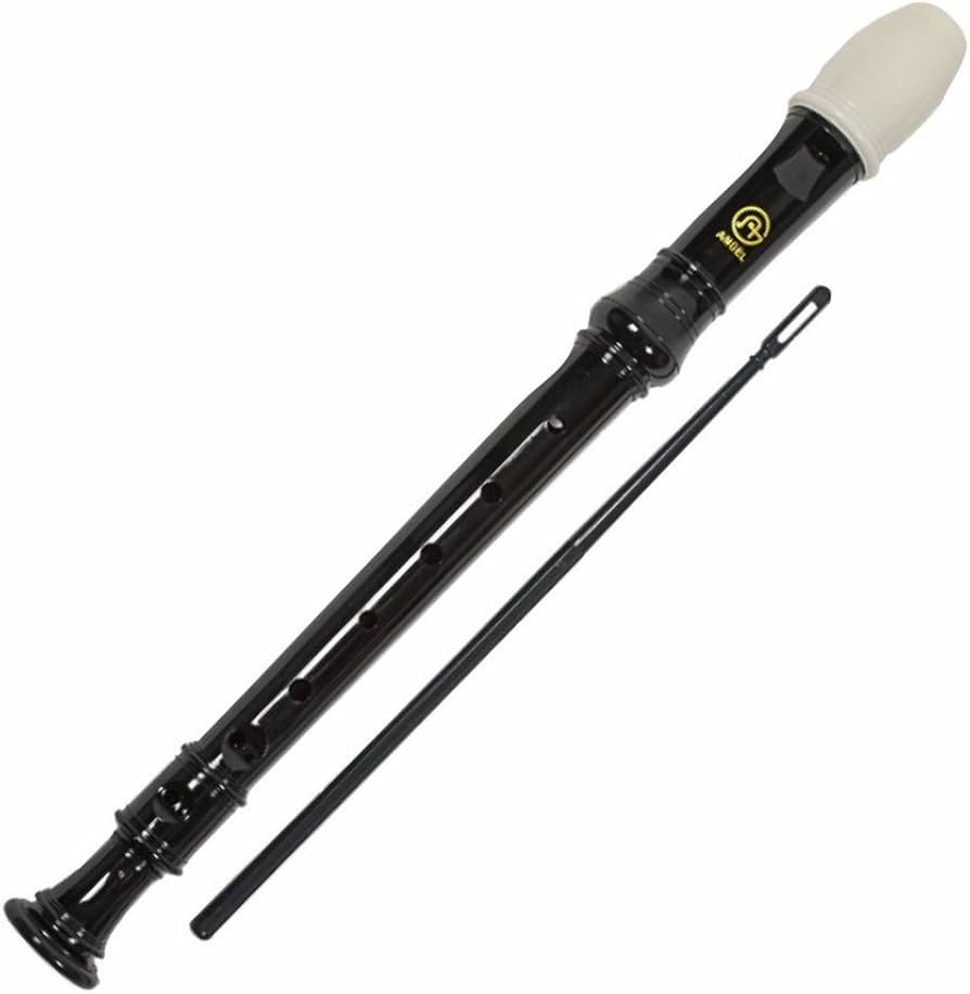 Angel 101 Recorder - Black Resin is Strong and Durable | Amazon (US)