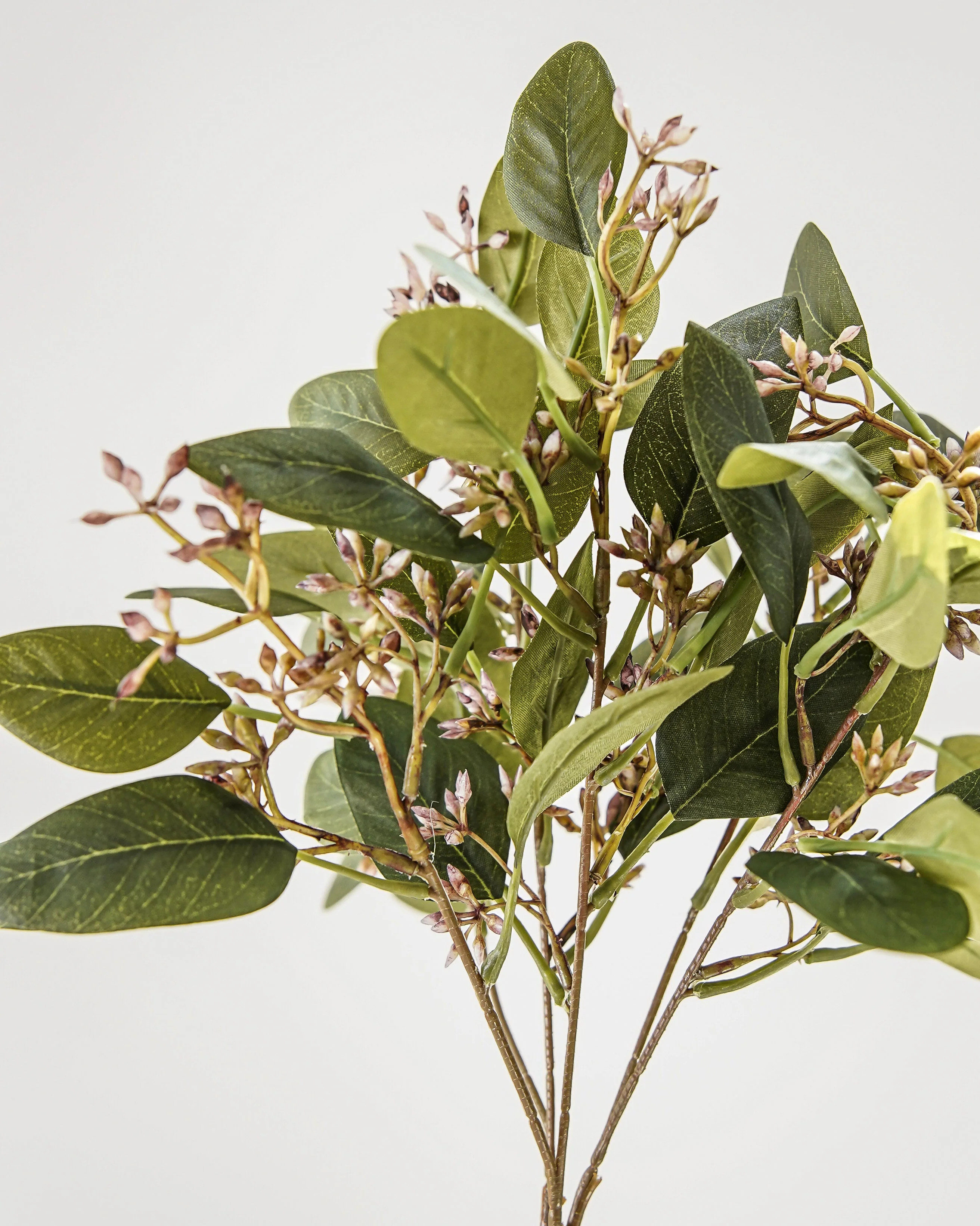 Eucalyptus Berry Bundle | MJHome