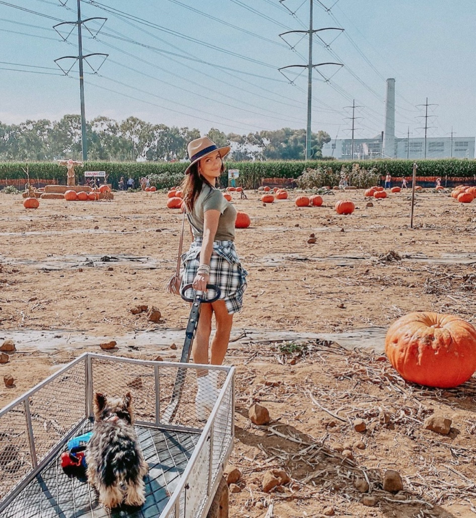 Pumpkin patch outfit 
Fall festivities, fall fashion, flannel, tshirt dress 

#LTKfindsunder50 #LTKSeasonal