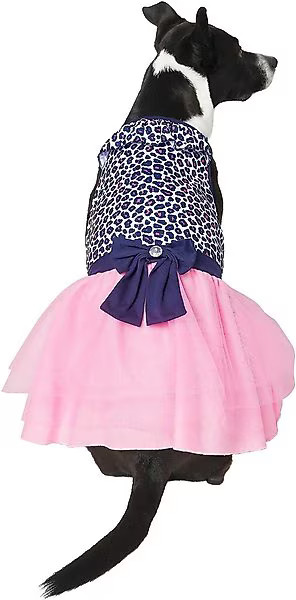 Frisco Leopard Print Dog & Cat Dress | Chewy.com