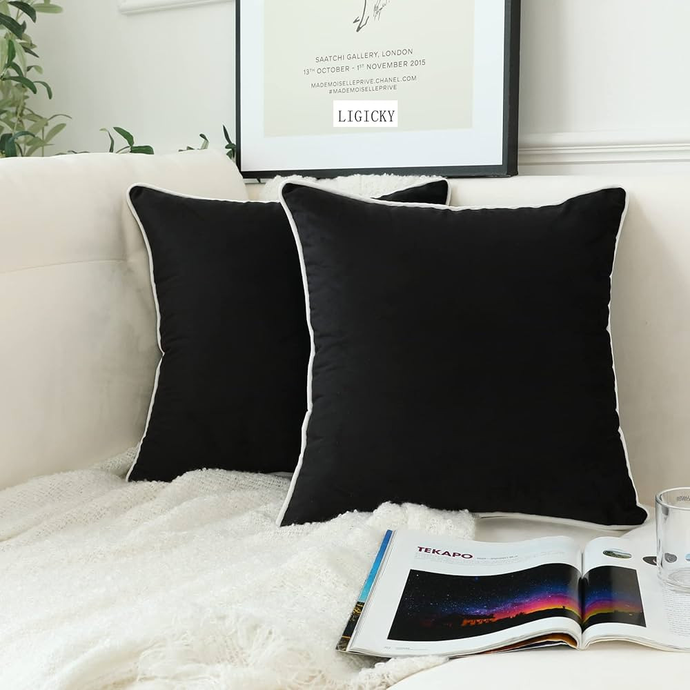 LIGICKY Set of 2 Black Velvet Throw Pillow Covers Modern Minimalist Style Solid Decorative White ... | Amazon (CA)