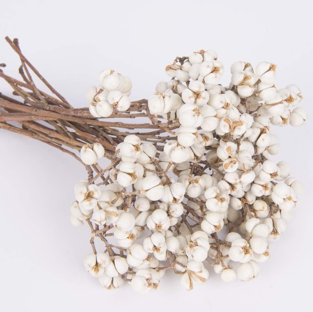 Tallow Berries Dried, Natural Stem Wedding Floral Décor | Amazon (US)