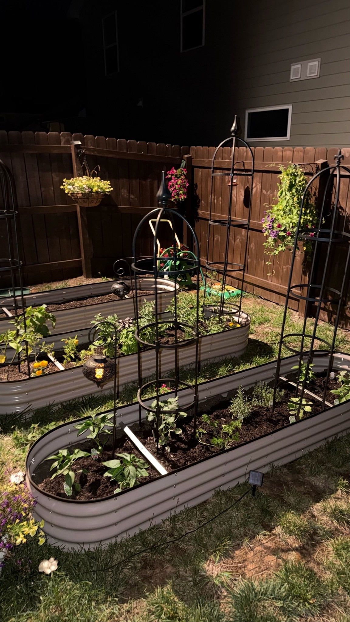 I love these raised galvanized garden beds from target. I ordered another one this year. They come in several different colors. I ordered the top which is 8‘ x 2‘. I love their green and wood green as well. Check them out. I am on year two and highly recommend for garden essentials.

#LTKHome #LTKdayinmylife