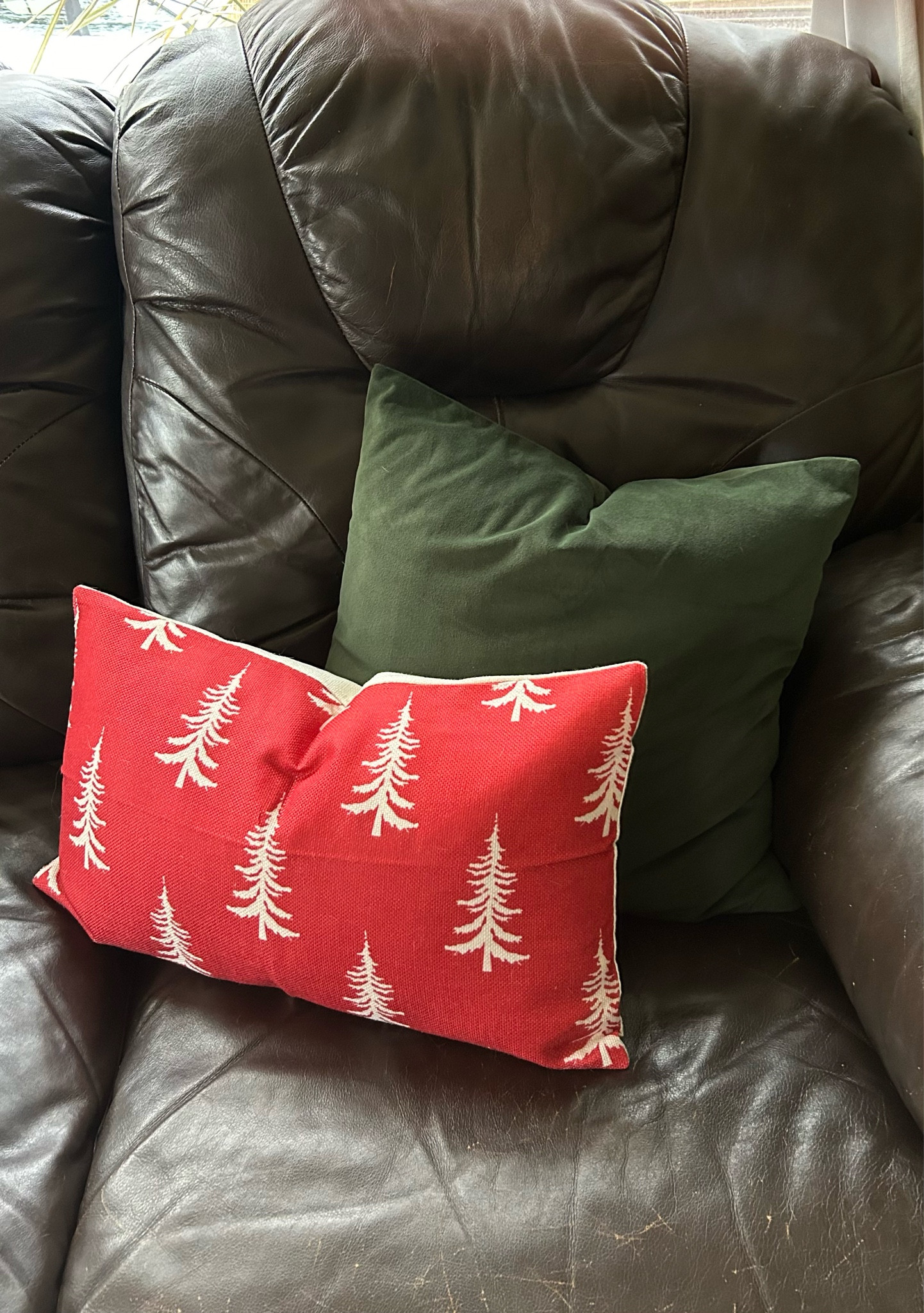 Amazon Christmas pillows! 


#LTKSeasonal #LTKfindsunder50 #LTKHoliday