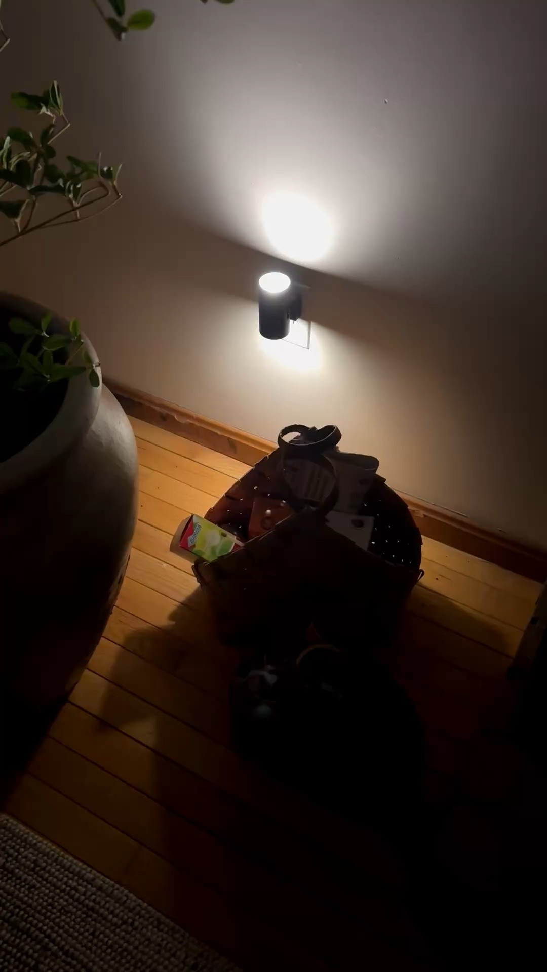 I’m sorry but this IS the BEST way to add mood lighting to your home… It’s better than #lampoclock

#LTKHome