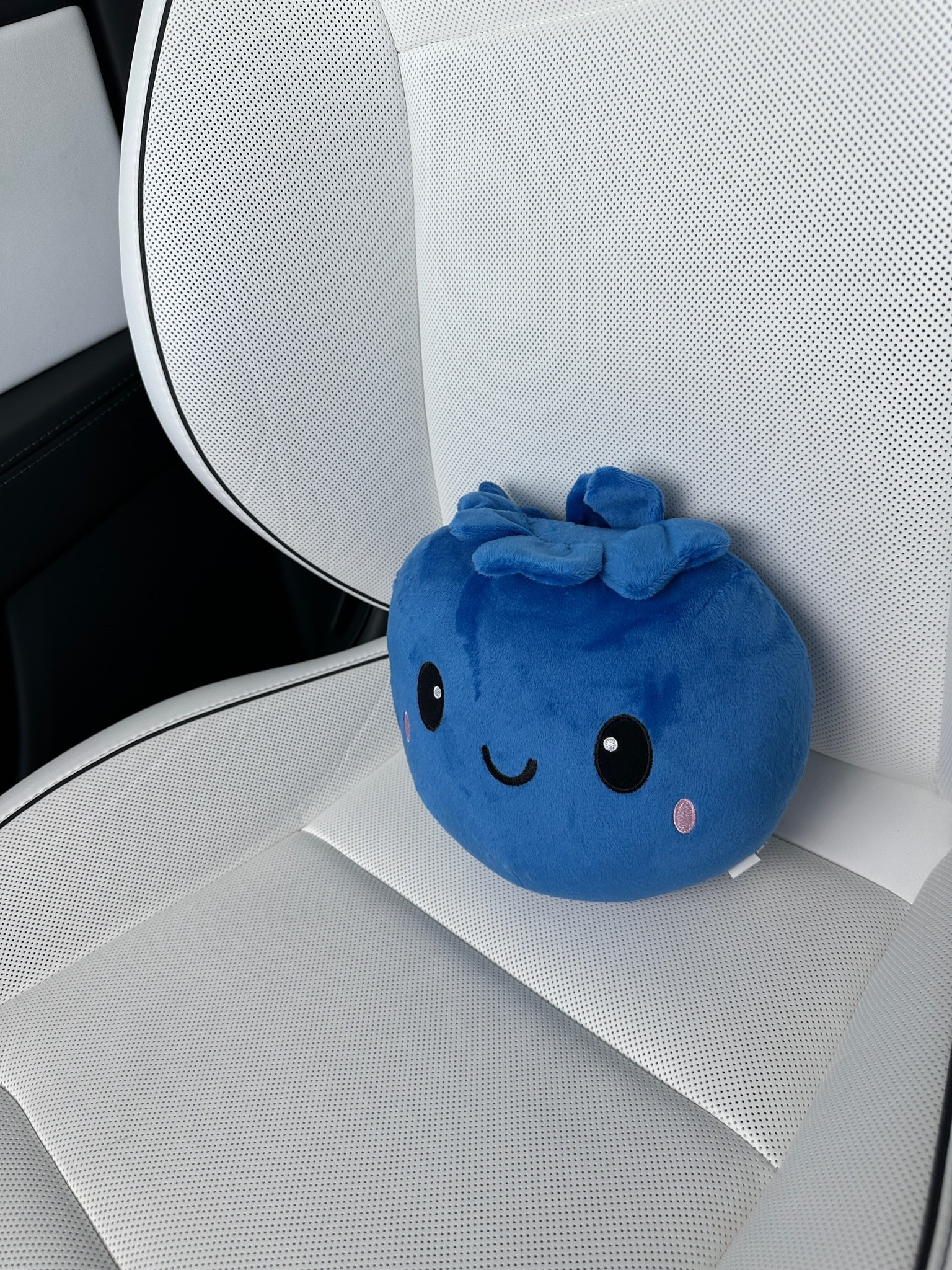 My new cars name is Blueberry. Only seem fitting to put a blueberry plush. 🫐🫐🫐 #blueberry #cars #plush

#LTKmomlife #LTKdayinmylife