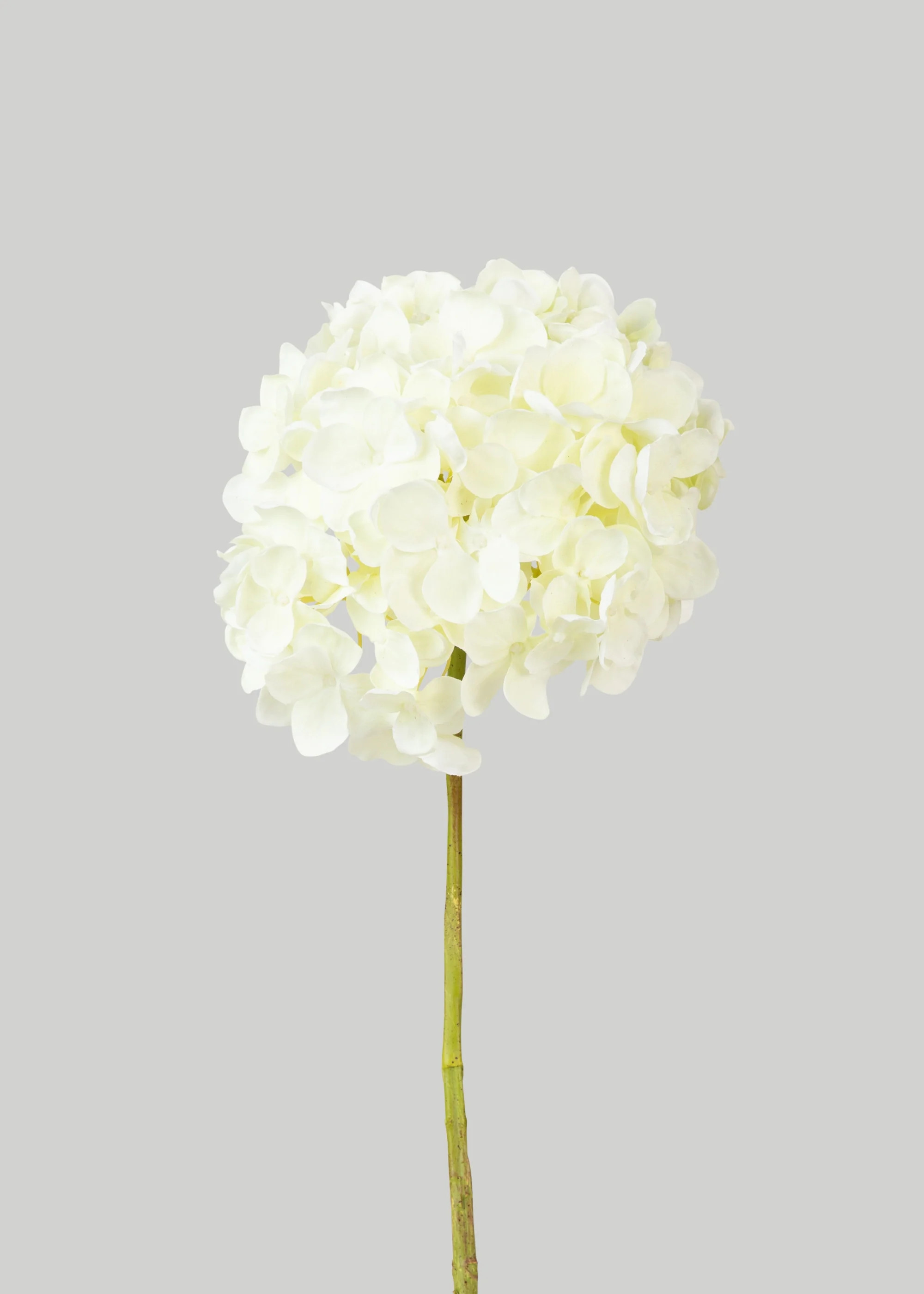 Faux Hydrangea Stem in White | Realistic Artificial Flowers | Afloral | Afloral