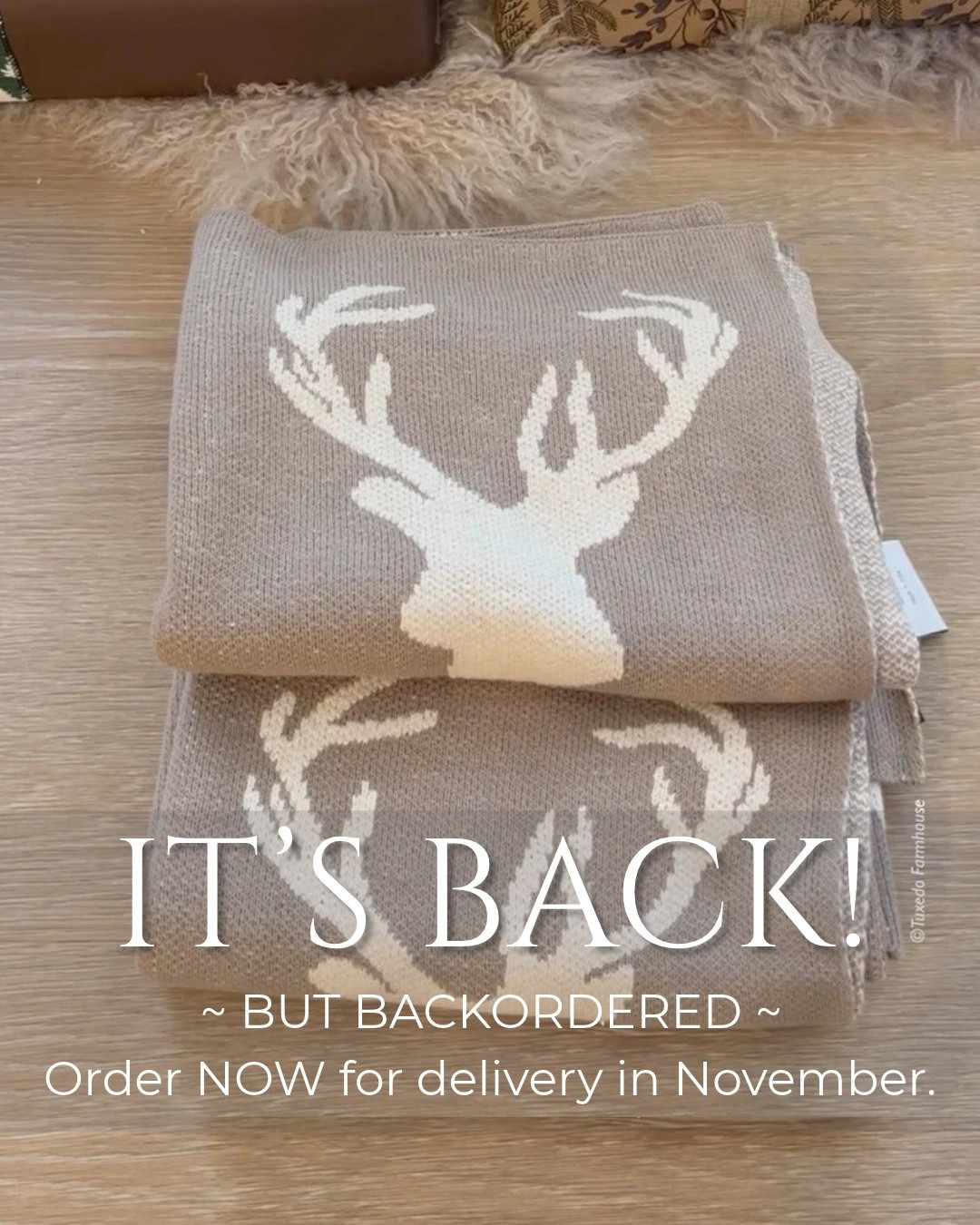 This fun holiday throw blanket is so hard to find! I found a vendor, but it’s Backordered. If you order now, it’ll arrive in November just in time for the holidays! 

 #LTKSeasonal #LTKHome #LTKSaleAlert
