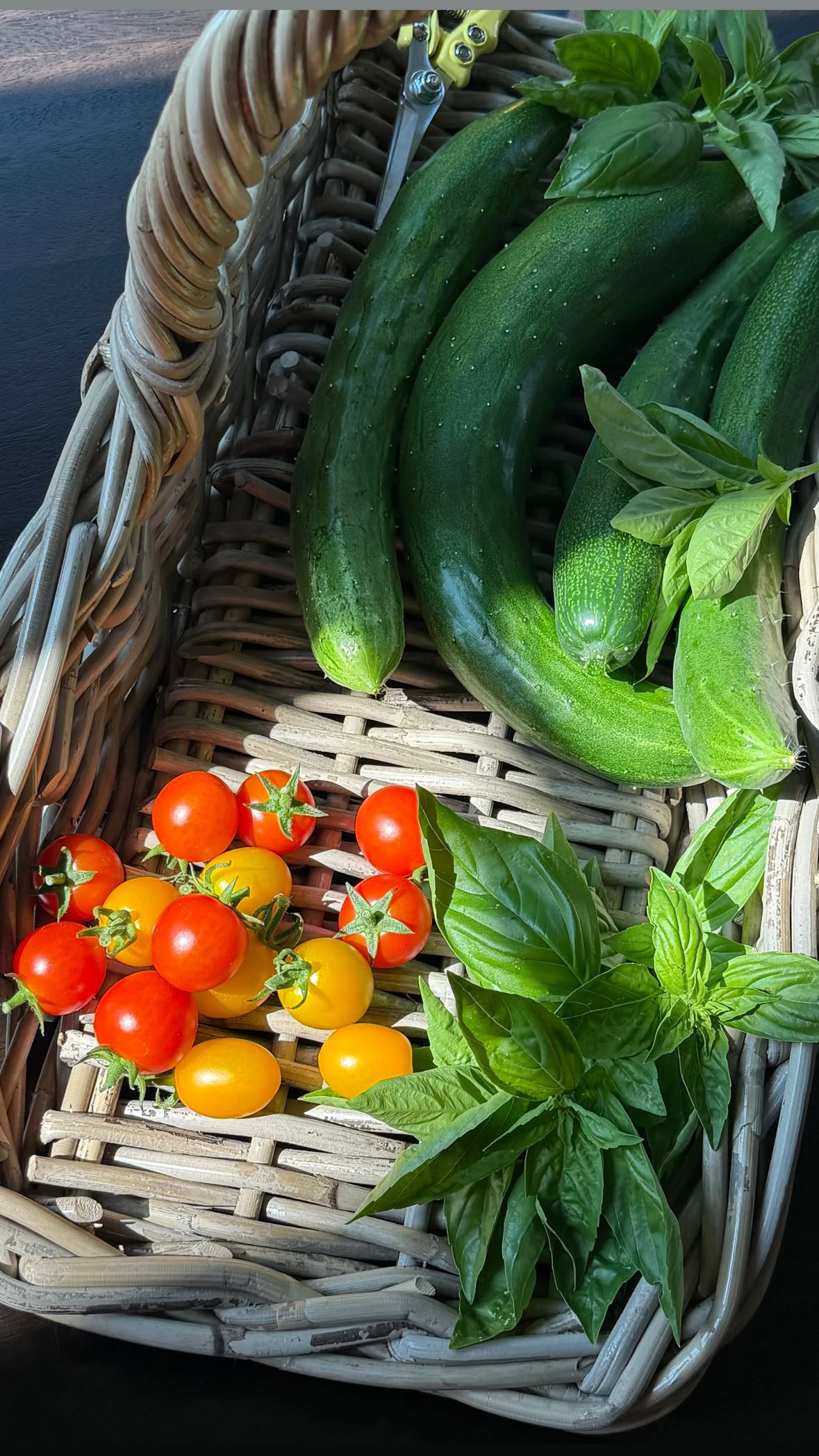This garden basket is my favorite and it's on sale!

wayfair l basket l garden 

 
