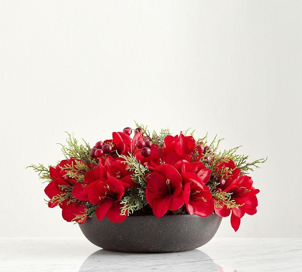 Composed Amaryllis | Pottery Barn (US)