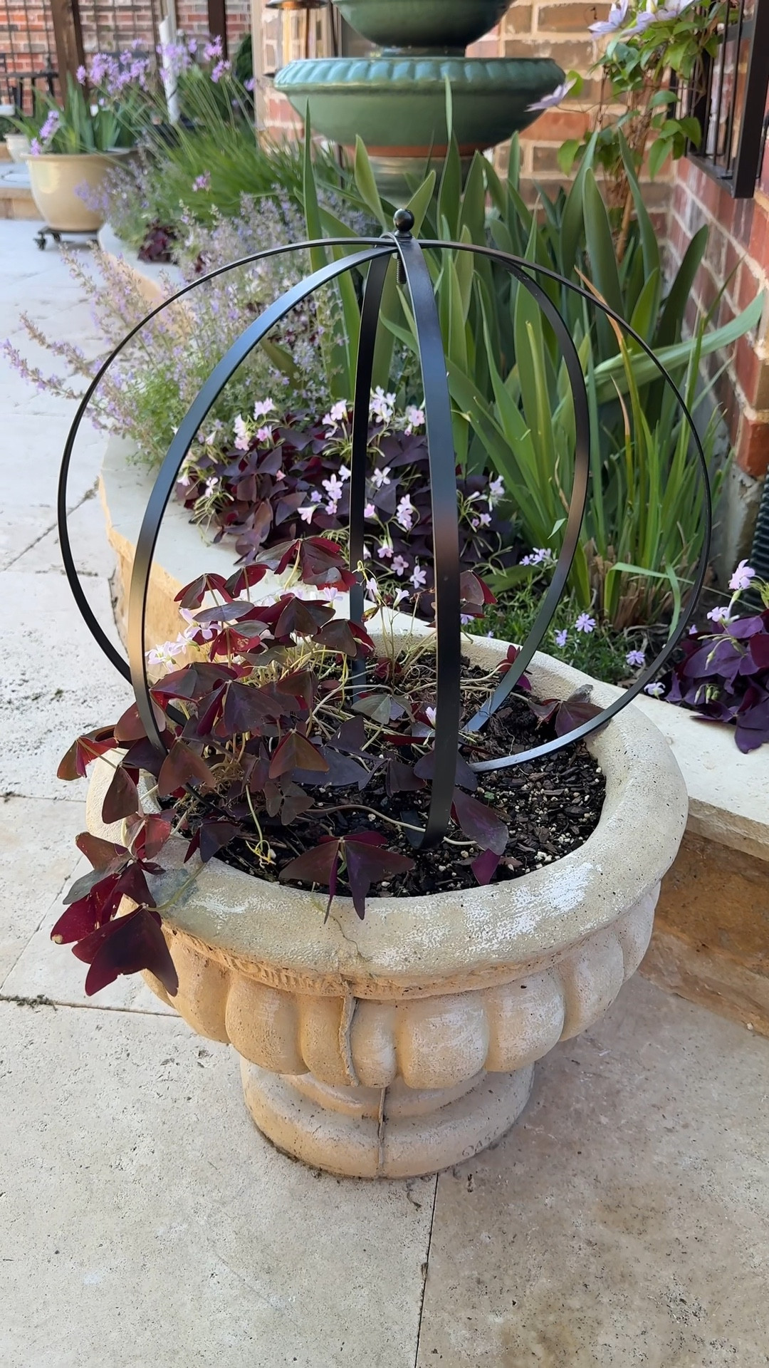 My newest obsession ... Orb Trellises! I was surprised at how affordable they are and available in a variety of sizes. 🌼 garden backyard outdoor patio planter cottagecore cottage grandmacore butter yellow spring fashion summer polka dots 

 #LTKSeasonal #LTKHome #LTKFindsUnder50