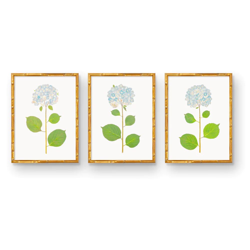 Natural Flower Hydrangea Art Prints | Hand Pressed | Original | Urban Garden Prints