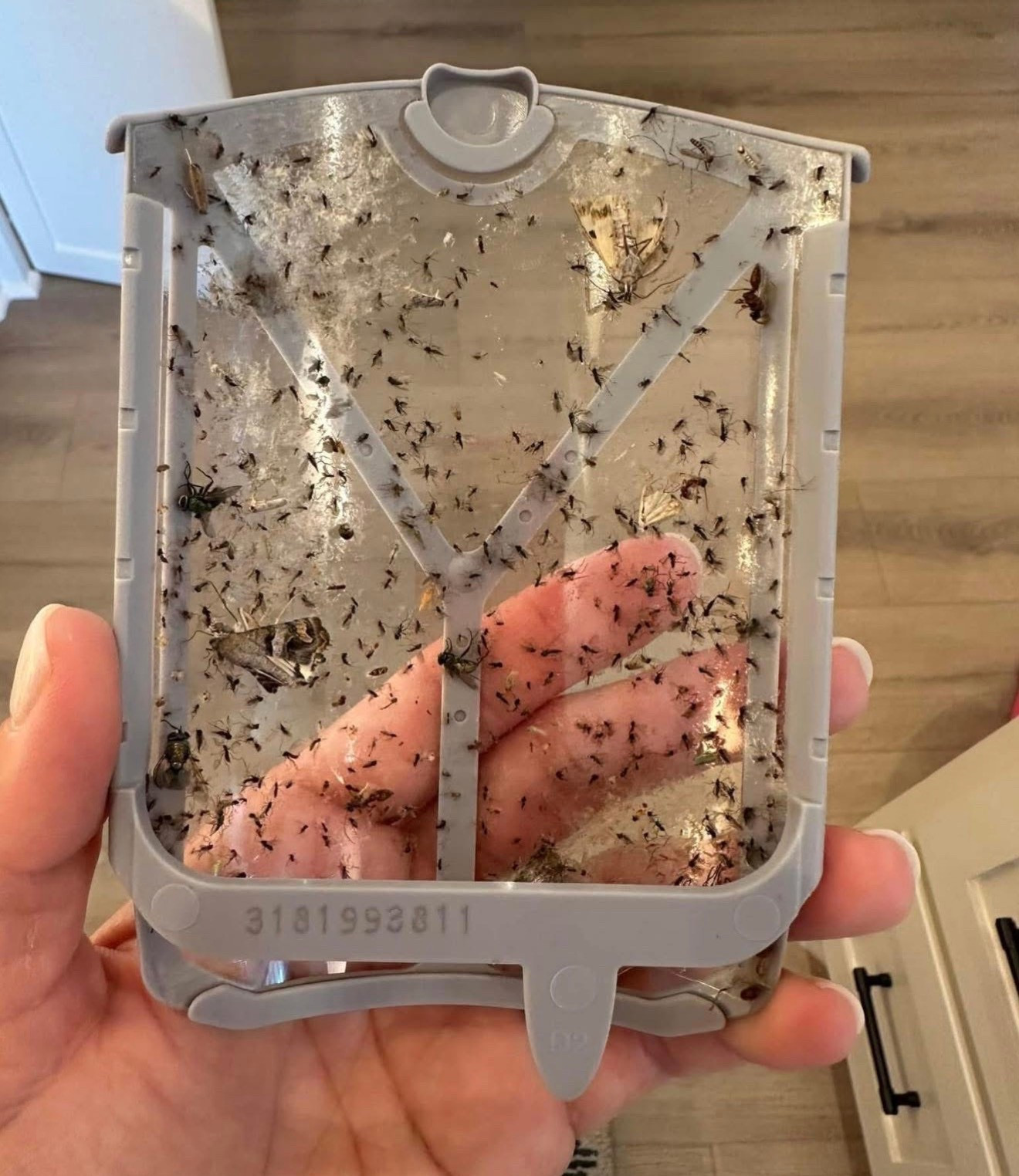 Zevo Trap SALE- these are the absolute BEST!!! 

#LTKSaleAlert