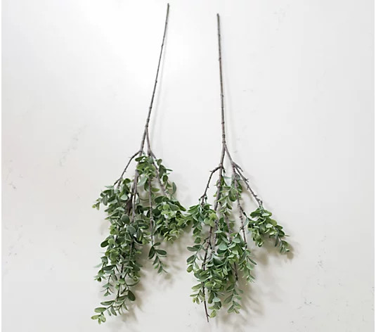 Set of (2) 30" In/Out Faux Boxwood Picks by Lauren McBride | QVC