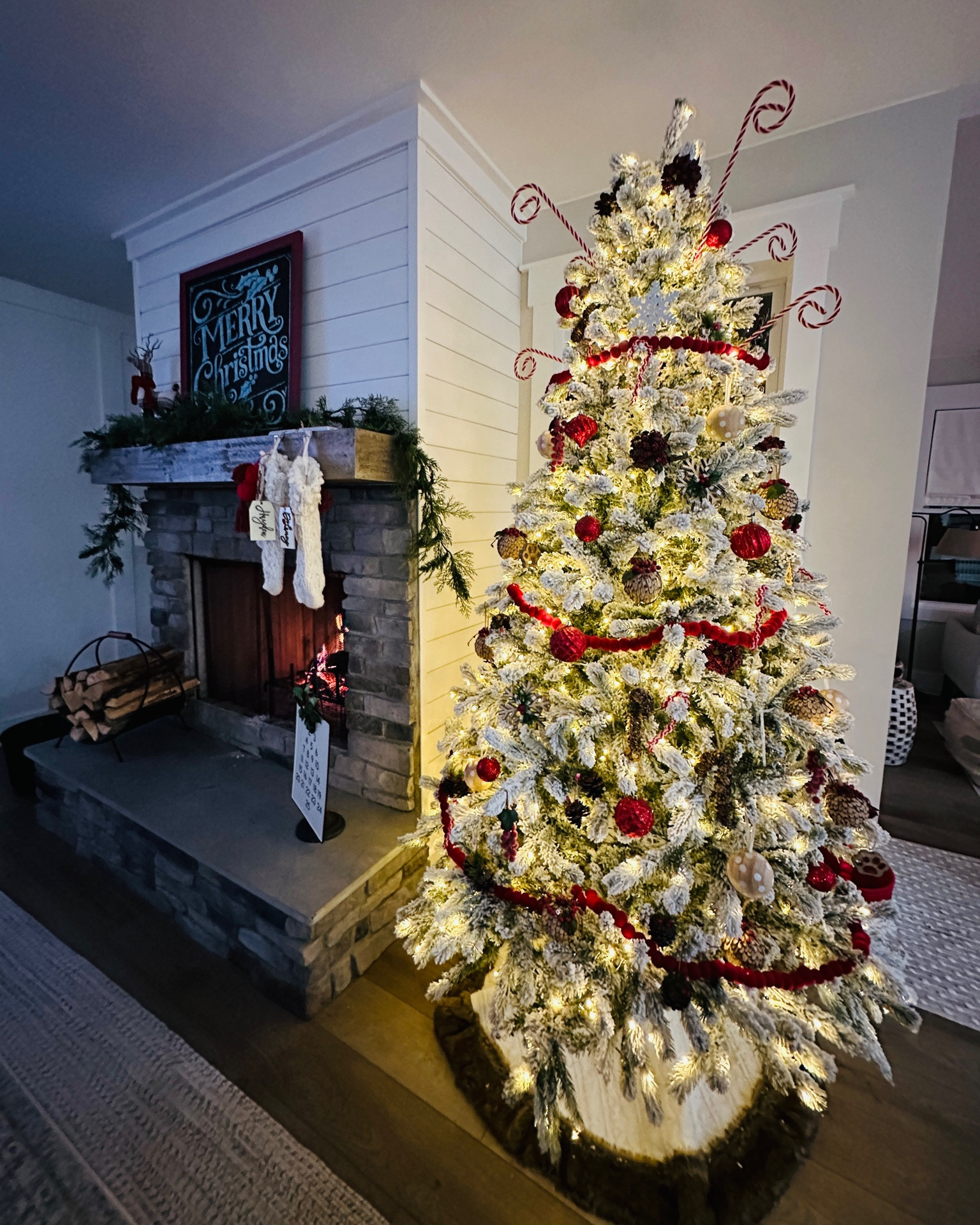 The highest quality flocked tree. This is the King Flock from King of Christmas

#LTKsalealert #LTKHoliday #LTKSeasonal