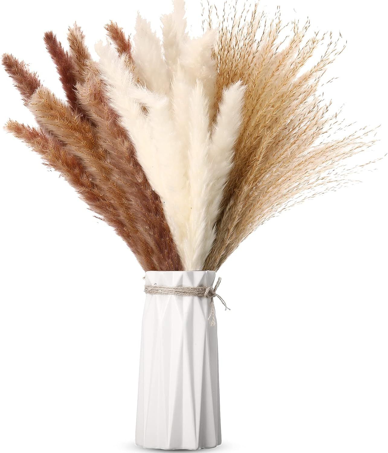 Datanly 75 Pieces Natural Dried Pampas Grass Pompous Grass Include 30 Pieces Reed Grass and 45 Pi... | Amazon (US)