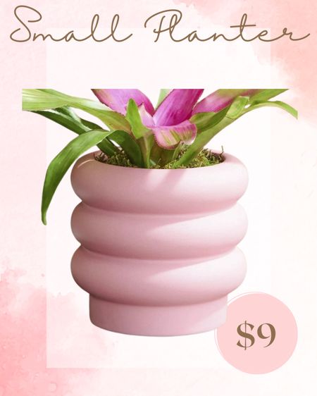 $9 pink bubble planter 

#LTKGiftGuide #LTKfindsunder50 #LTKhome