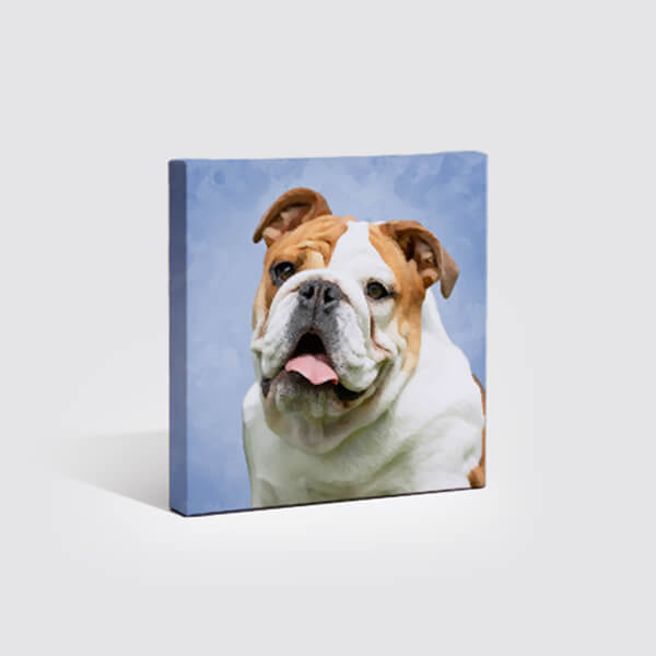 Pet portraits | canvaspop