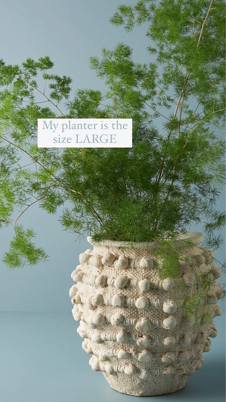 Link to the planter, my tree is in, mine is the size large 

#LTKSeasonal #LTKhome