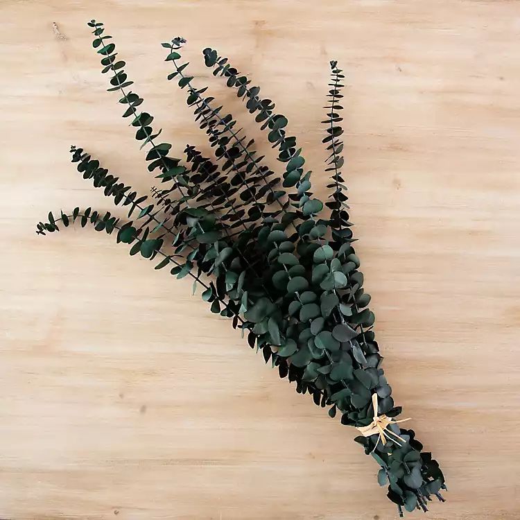 New! Dried Eucalyptus Branch Bundles, Set of 6 | Kirkland's Home