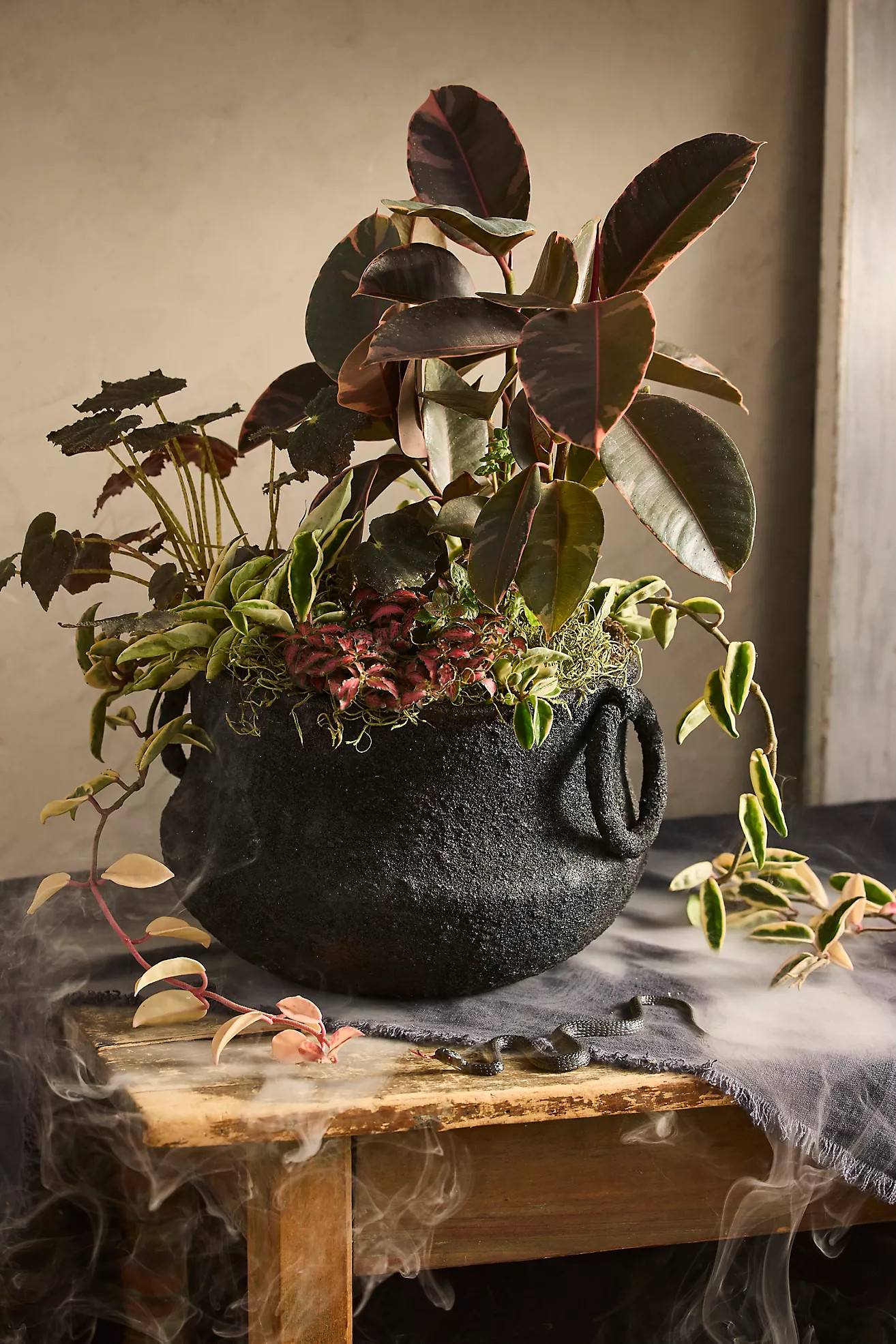 Black Iron Cauldron Planter | Anthropologie (US)
