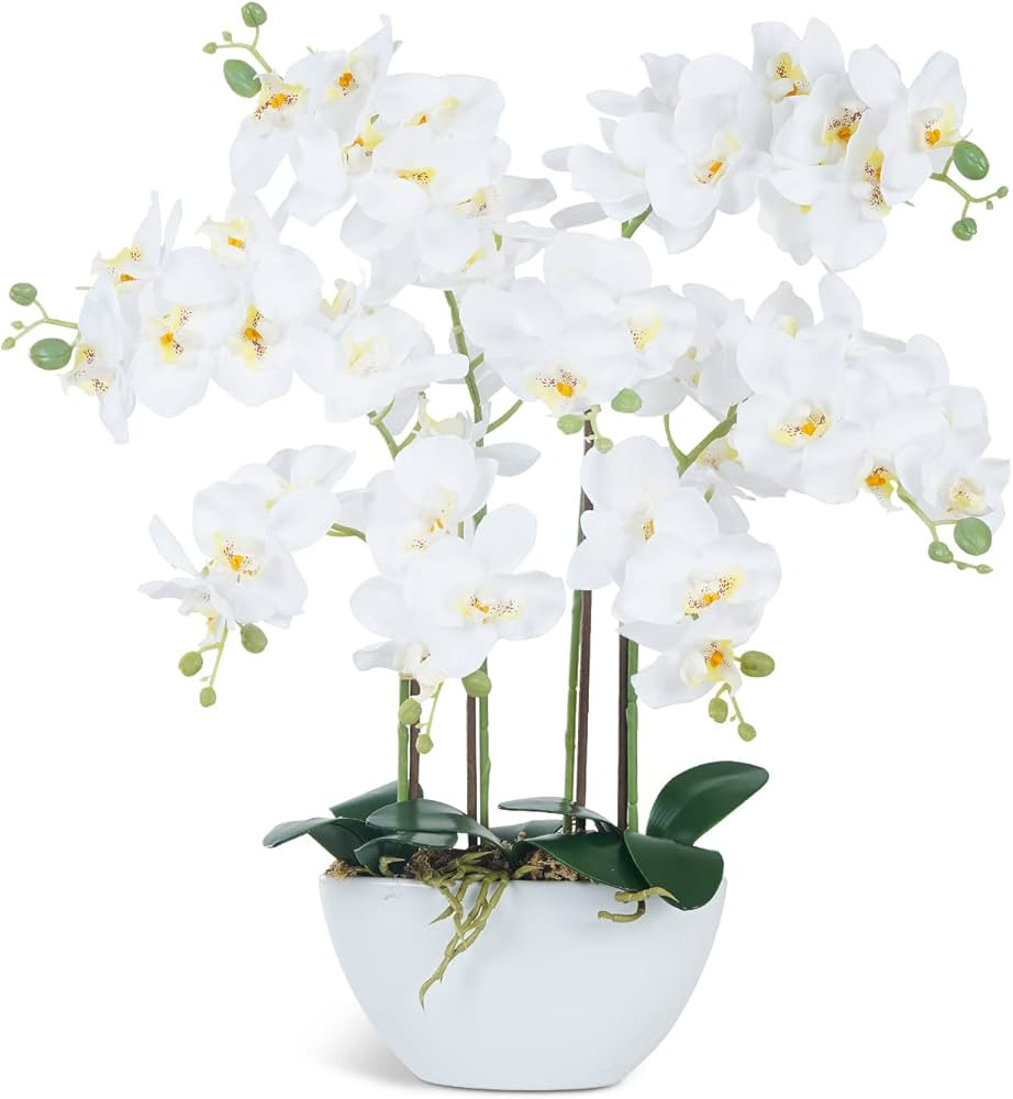Ziwon Artificial Orchid Flowers & Plants Potted in Ceramic Pot, White Faux Phalaenopsis Orchids f... | Amazon (US)
