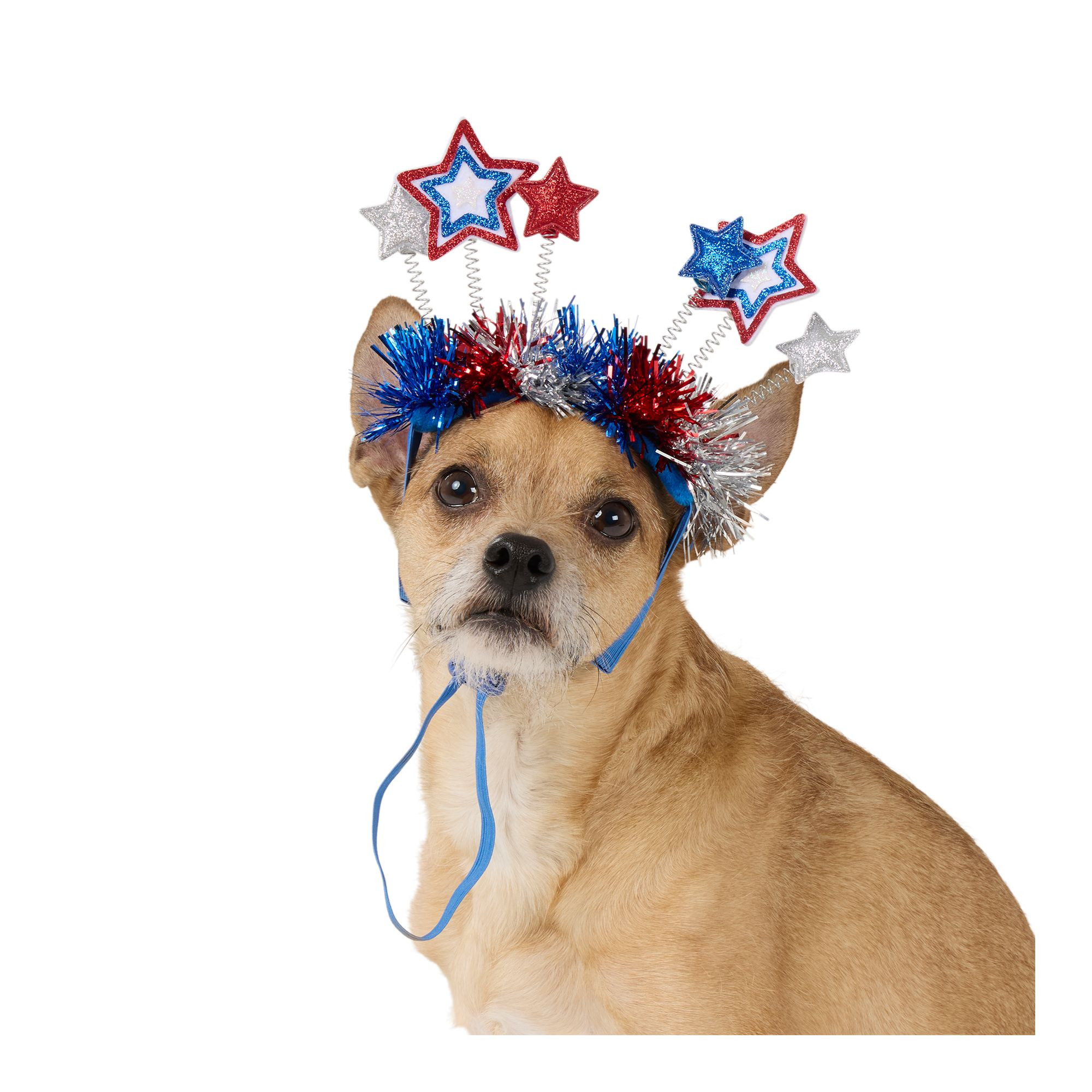Top Paw® Red, White & Blue Stars Headband | PetSmart