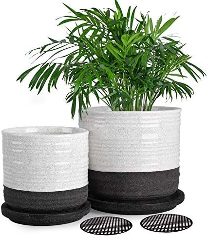 Ceramic Plant Pots for Plants Indoor, 6in + 4.75in White Planter Pots for Succulents, Strawberry ... | Amazon (US)