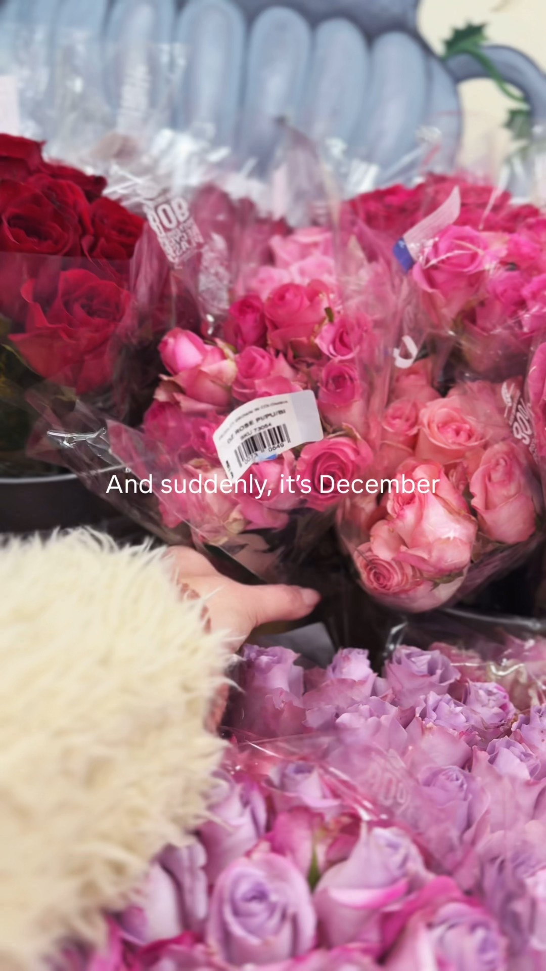 December self care looks a like lot buying flowers, cute pjs, and dry brushing 

#LTKGiftGuide #LTKdayinmylife #LTKHoliday