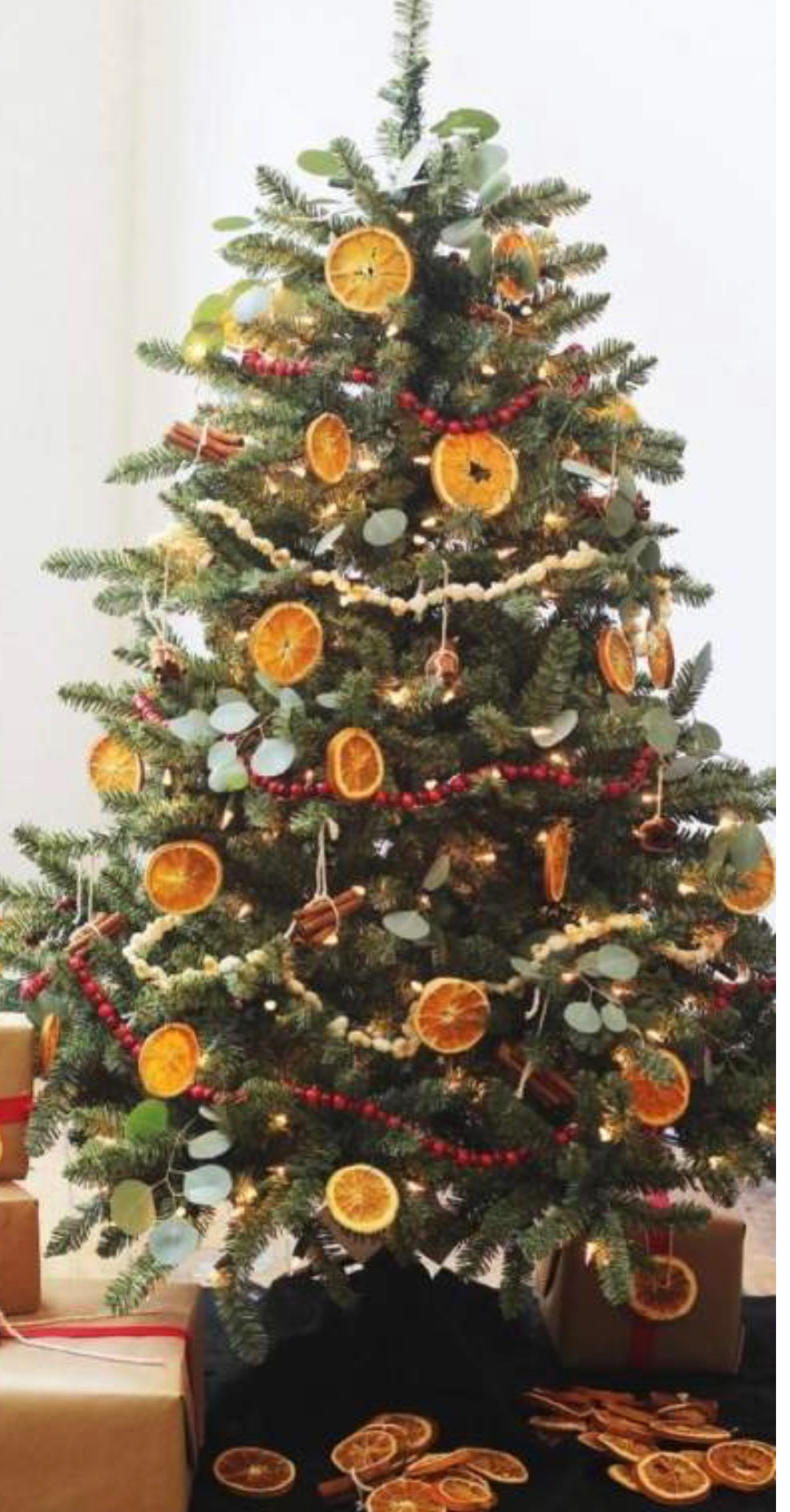 Florida Christmas tree holiday decor bead garland dried oranges ornaments 

#LTKSeasonal #LTKhome #LTKHoliday