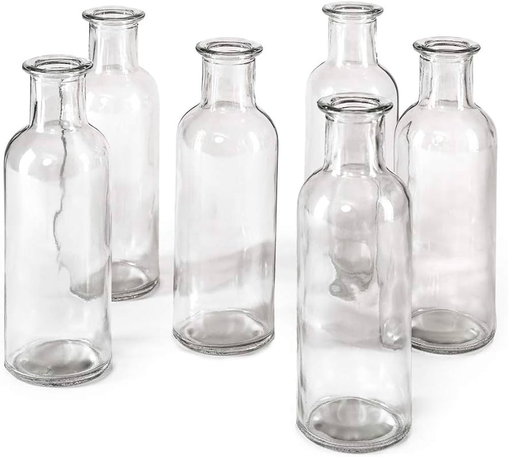 Clear, Large, Set of 6 | Amazon (US)
