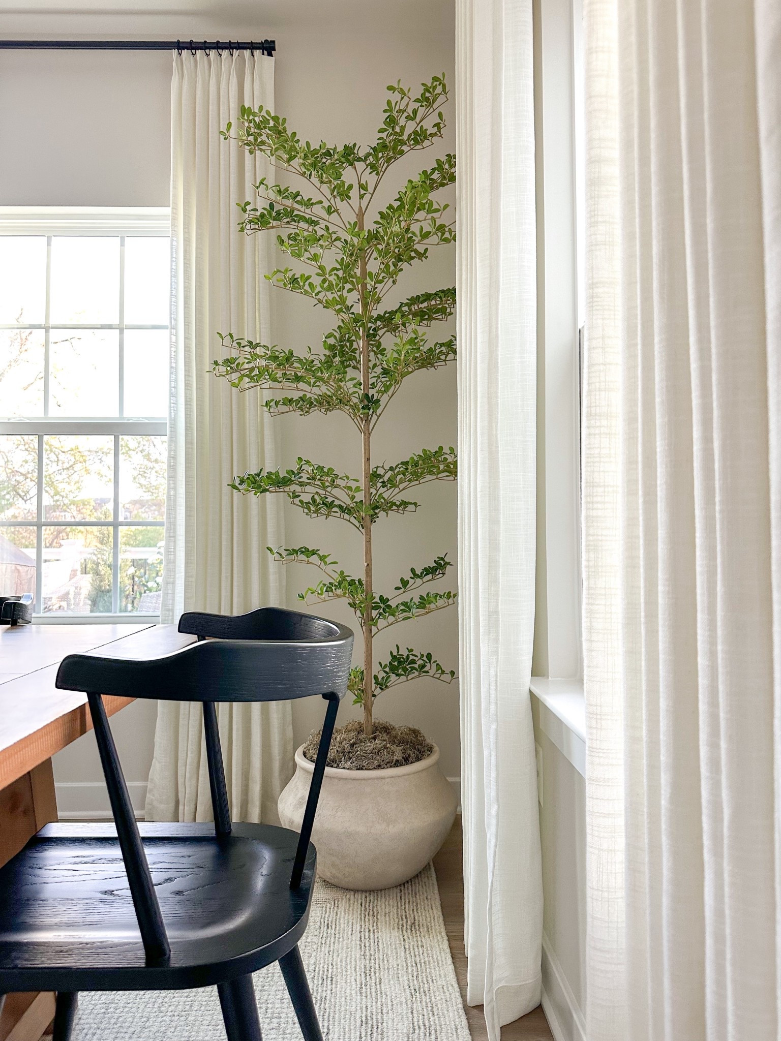 Faux black olive tree
#amazon #blackolivetree #fauxtree
#diningroom

#LTKHome