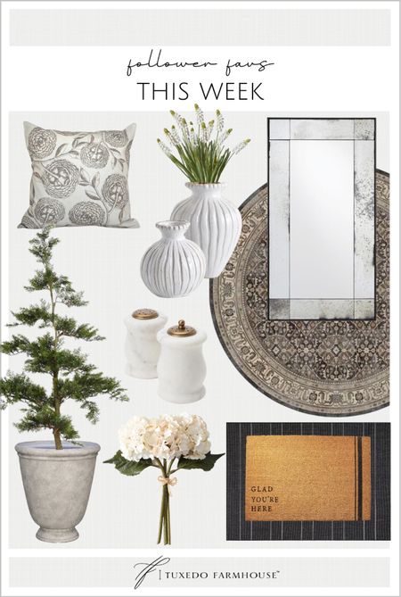 Follower home decor favorites this week. 

Washable rugs, door mats, outdoor rugs, vases, kitchen decor, faux flowers, planters, pillows, wall mirrors, spring decor

#LTKhome #LTKSeasonal #LTKFind