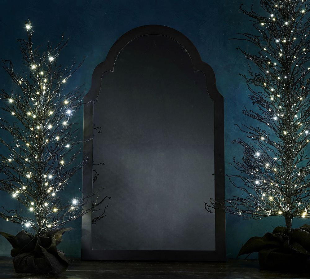 Ghost Hologram Mirror | Pottery Barn (US)