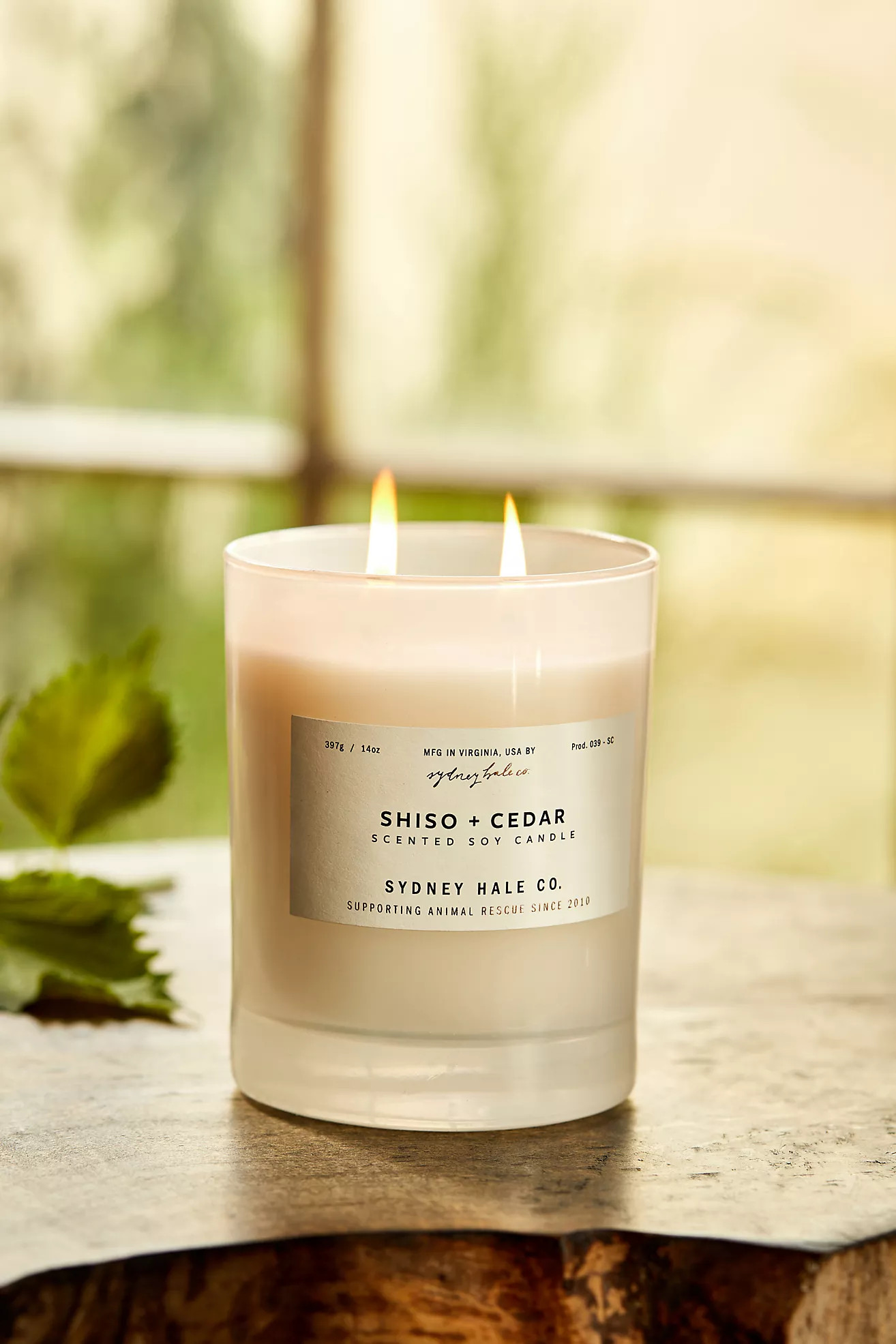 Sydney Hale Candle, Shiso + Cedar | Anthropologie (US)