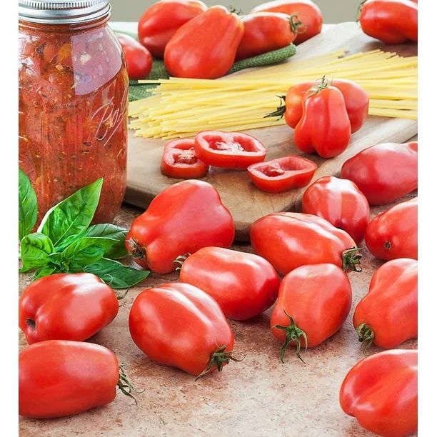 San Marzano Tomato Plant - Heirloom Paste Tomato - 2.5" Pot - Walmart.com | Walmart (US)