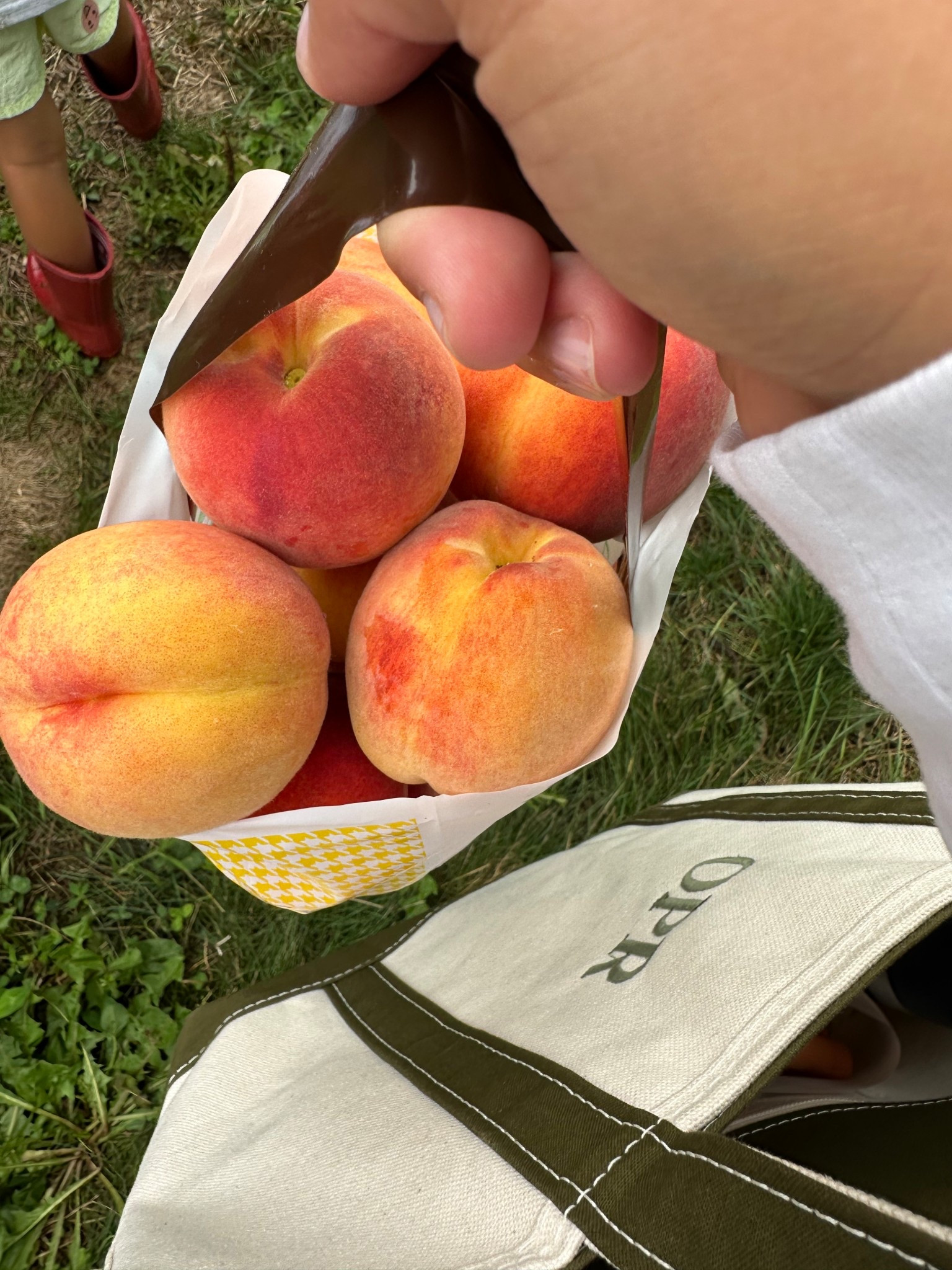 Boat and tote in Olive 

#LTKFindsUnder50 #LTKItBag