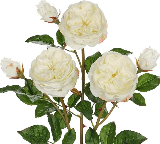 Real Touch Artificial Roses (Set of 3) – 23.6" Long Stem White Garden Roses – Lifelike Faux S... | Amazon (US)
