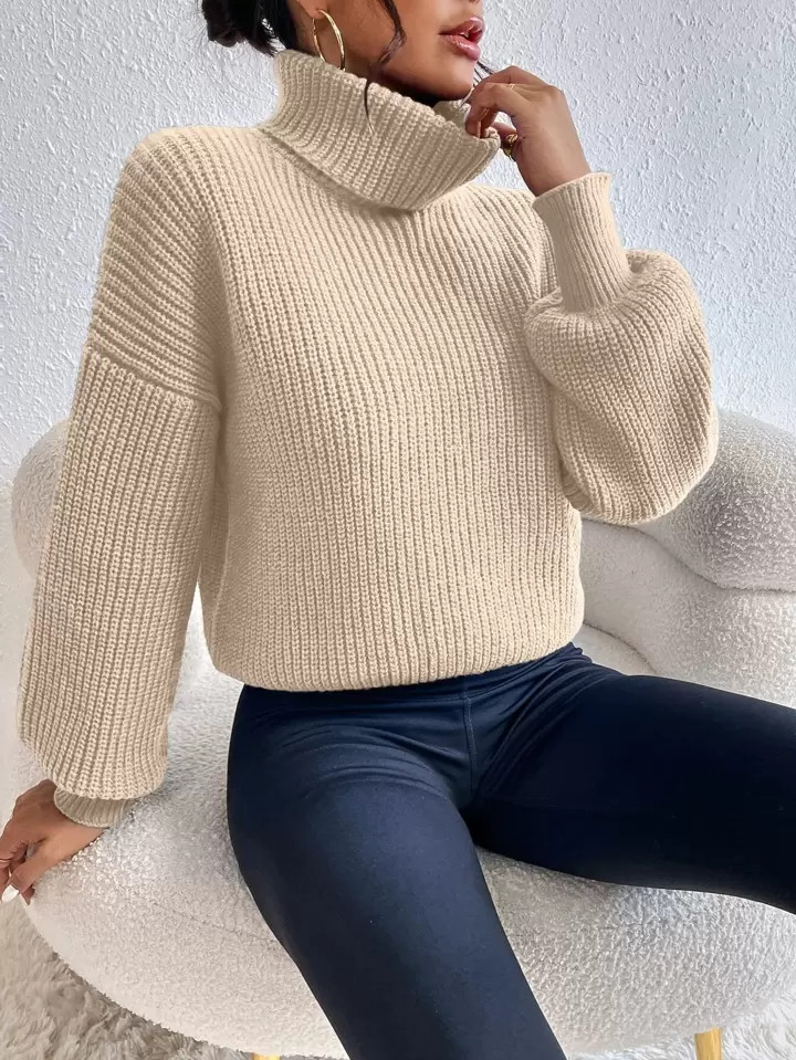 SHEIN Frenchy Pull côtelé à col roulé | SHEIN
