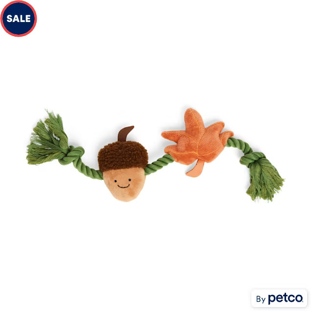 Leaps & Bounds Acorn Rope Dog Toy, Small | Petco